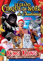 Le grand Cirque de Noël : King Kong et les légendes de la jungle | - Chantonnay Cirque Medrano  Chantonnay Affiche