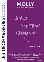 Molly Les Dchargeurs - Salle Vicky Messica Affiche
