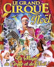 Le Grand Cirque de Noël à Maubeuge Chapiteau Le Grand Cirque de Saint Petersbourg  Maubeuge Affiche