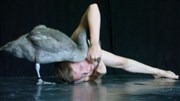 Swan Chaillot - Thtre National de la Danse / Salle Jean Vilar Affiche