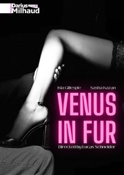 Venus in fur Théâtre Darius Milhaud Affiche