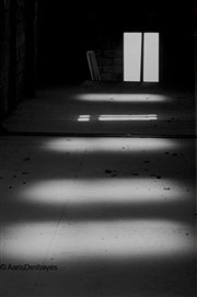 Entre ombre et lumière L'entrept - 14me Affiche