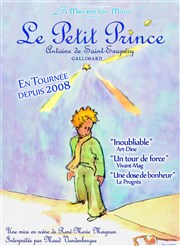 Le Petit Prince Thtre Espace 44 Affiche
