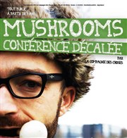 Mushrooms - conférence décalée La Pniche Lapin Vert Affiche