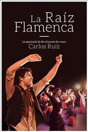 Raíz Flamenca Elèves Thtre 13 / Glacire Affiche