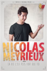 Nicolas Meyrieux dans la vie c'est plus fort que toi Thtre de l'Observance - salle 1 Affiche