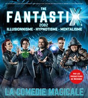 The Fantastix | La comédie magicale Le Grand Rex Affiche