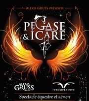 Cirque Alexis Gruss dans Pégase & Icare Znith Arena de Lille Affiche