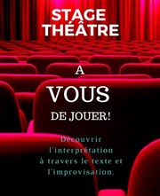Stage théâtre 2 jours Comdie La Rochelle Affiche