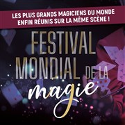 Festival Mondial de la Magie Maison de la Culture Affiche