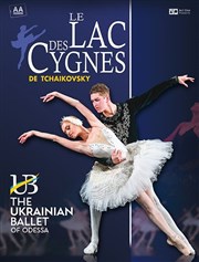 Le Lac Des Cygnes | The Ukrainian Ballet of Odessa Bourse du Travail Lyon Affiche