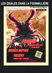 FoxHole & Baddas Mother Fuzzers Caf culturel Les cigales dans la fourmilire Affiche