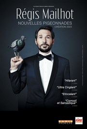 Régis Mailhot dans Nouvelles Pigeonnades L'Appart Caf - Caf Thtre Affiche