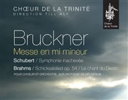 Bruckner / Brahms / Schubert Eglise de la Trinit Affiche