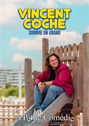 Vincent Coche dans Comme un grand La Comdie de Toulouse Affiche