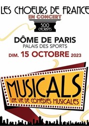 Musicals, une vie de comédies musicales Le Dme de Paris - Palais des sports Affiche
