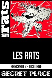 Les Rats Phlegm + Motch N' Roll Circus + Phlegm Secret Place Affiche