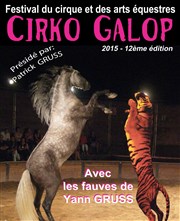 Festival Cirko Galop | Spectacle de marionnettes Chapiteau Cheval Art Action Affiche