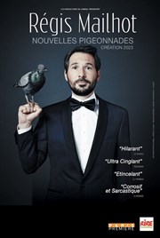 Régis Mailhot dans Nouvelles Pigeonnades Le Troyes Fois Plus Affiche