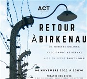 Retour à Birkenau Le Théâtre des rêves Affiche