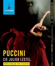 Puccini Elphant Paname Affiche