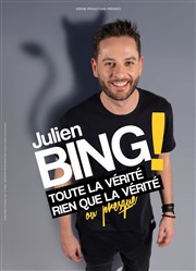 Julien Bing dans Toute la vérité, rien que la vérité (ou presque) Comdie La Rochelle Affiche