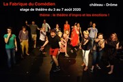 Stage de théâtre d'été sur les émotions Chteau de Valence Affiche