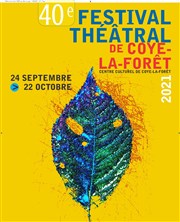 L'Effort d'être spectateur | Festival Théâtral de Coye la Forêt Centre Culturel Coye la Fort Affiche