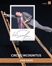 Circus Incognitus La Scala Provence - salle 600 Affiche