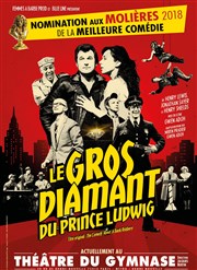 Le Gros Diamant du Prince Ludwig Théâtre du Gymnase Marie-Bell - Grande salle Affiche