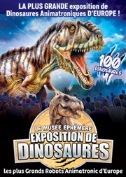 Le Musée Éphémère® : Exposition de dinosaures à Colmar Halle aux vins - Parc des expositions Affiche