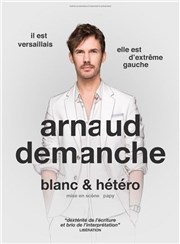 Arnaud Demanche dans Blanc et hétéro Le Troyes Fois Plus Affiche