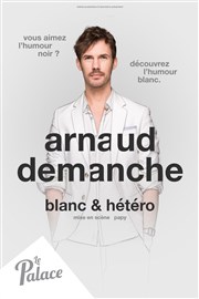 Arnaud Demanche dans Blanc et hétéro Thtre le Palace - Salle 3 Affiche