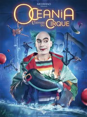 Cirque Océania | Vias Chapiteau du Cirque Medrano à Vias Affiche