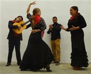 Vuelo flamenco L'entrept - 14me Affiche