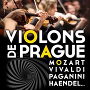 Violons de Prague | Montélimar Collgiale Sainte Croix Affiche