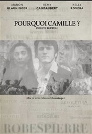 Pourquoi Camille ? Théâtre Pixel Affiche