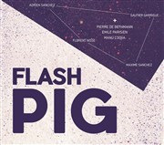 Flash Pig Studio de L'Ermitage Affiche