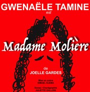 Madame Molière Théâtre de Nesle - grande salle Affiche