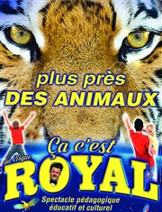 Soigneur d'un jour | à Hyères Chapiteau Cirque Royal  Hyres Affiche