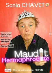Maudit Hermaphrodite La Chocolaterie Affiche