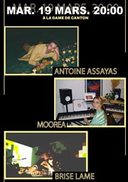 Antoine Assayas + Moorea + Brise Lame La Dame de Canton Affiche