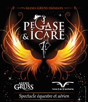 Cirque Alexis Gruss dans Pégase & Icare Znith Sud Affiche