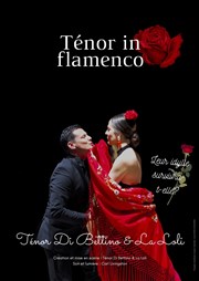 Tenor in Flamenco Thtre Tremplin - Salle les Baladins Affiche