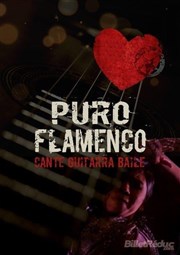 Puro Flamenco Mojitos & More Affiche