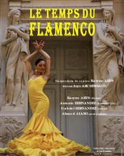 Le Temps du Flamenco Le Trianon Affiche