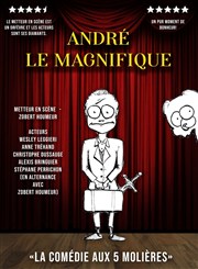 André le Magnifique Théâtre la Maison de Guignol Affiche