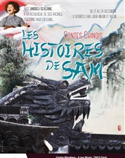 Les histoires de Sam Centre Mandapa Affiche