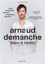 Arnaud Demanche dans Blanc & hetero Auxerrexpo Affiche