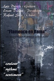 Flamenco en Rama L'entrept - 14me Affiche